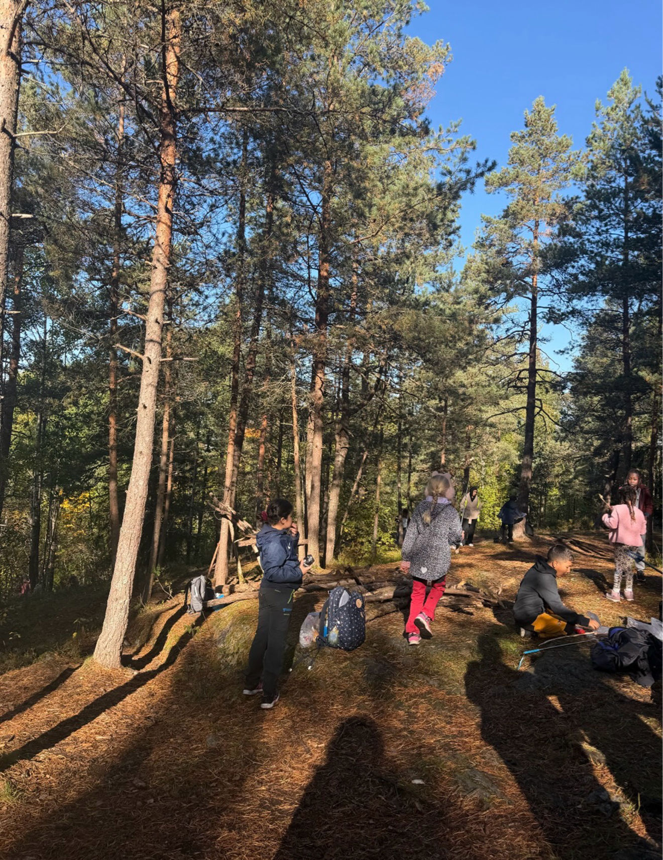 En gruppe mennesker som går tur i skogen