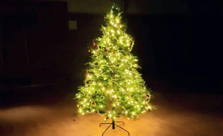 Foto: juletre et tre med lys