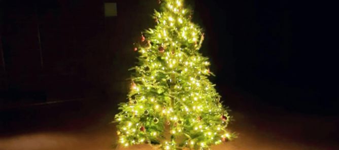 Foto: juletre et tre med lys