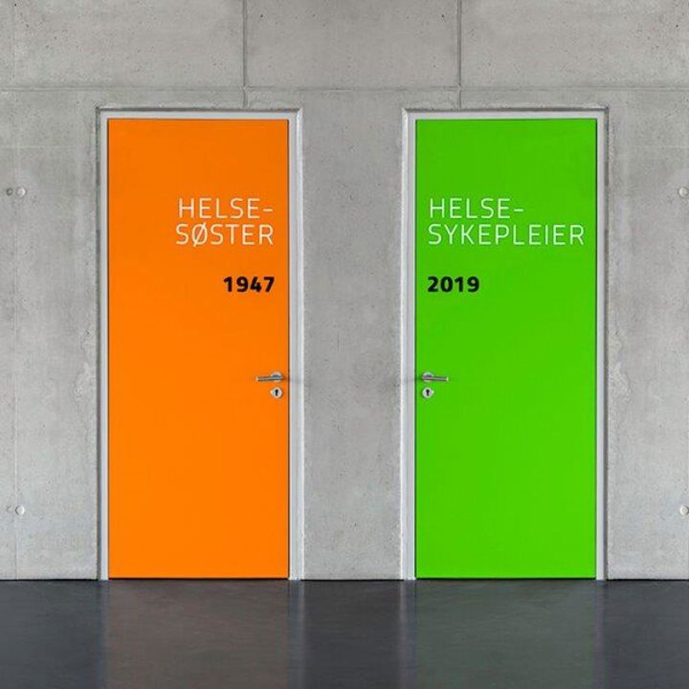 Fra helsesøster til helsesykepleier